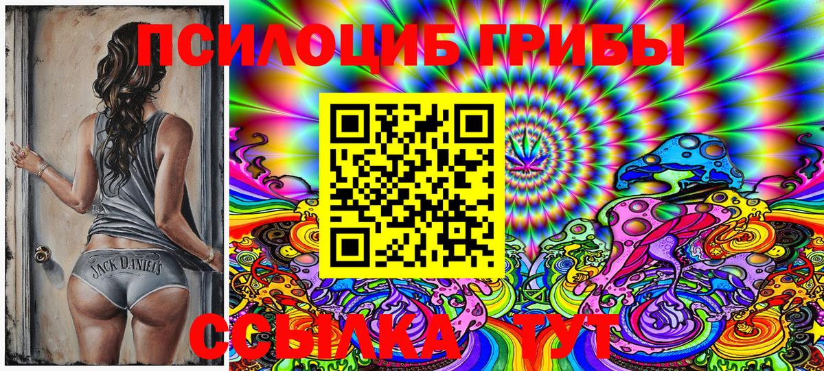 Асино  Псилоцибиновые грибы MAGIC MUSHROOMS  магазин    Вход с VPN 